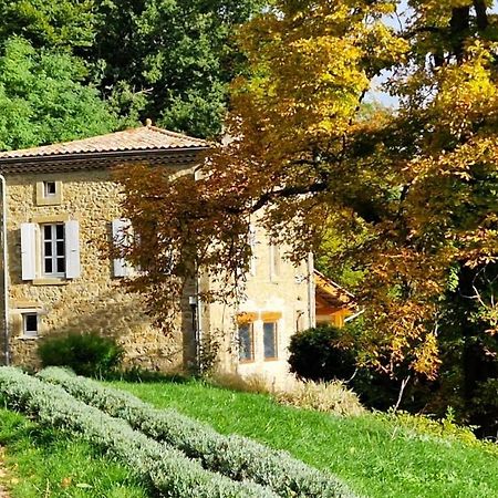 Gite Du Grand Delmas Bourdeaux Ngoại thất bức ảnh